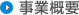 ���ƊT�v