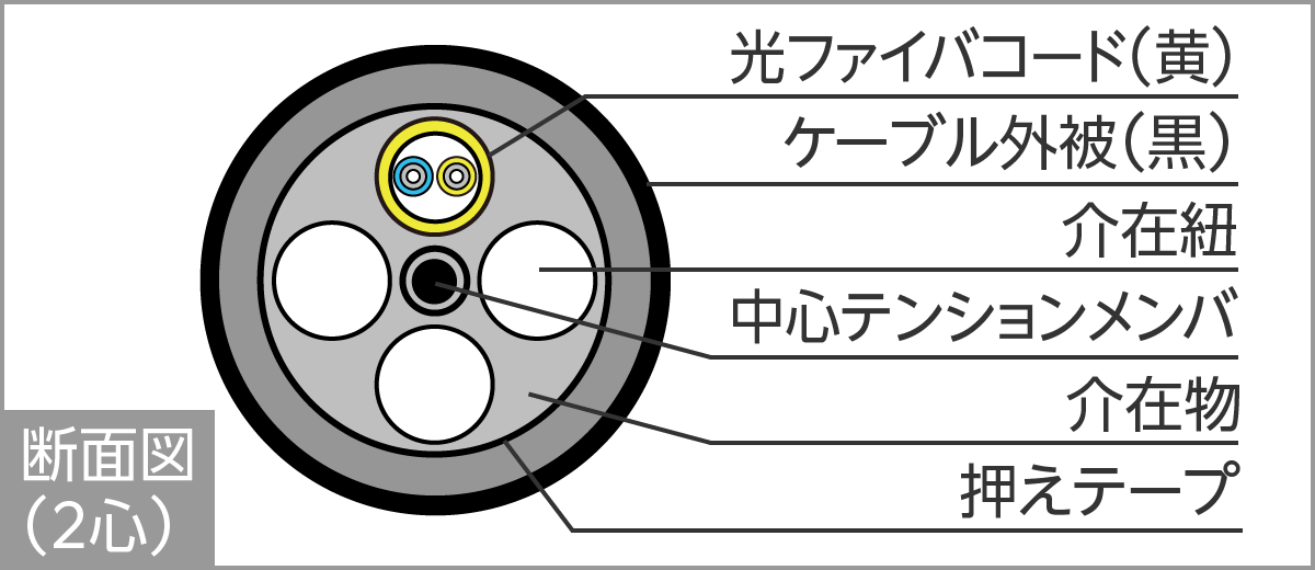 QL-DL断面図