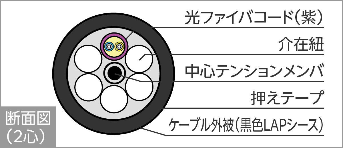 QL-DL断面図