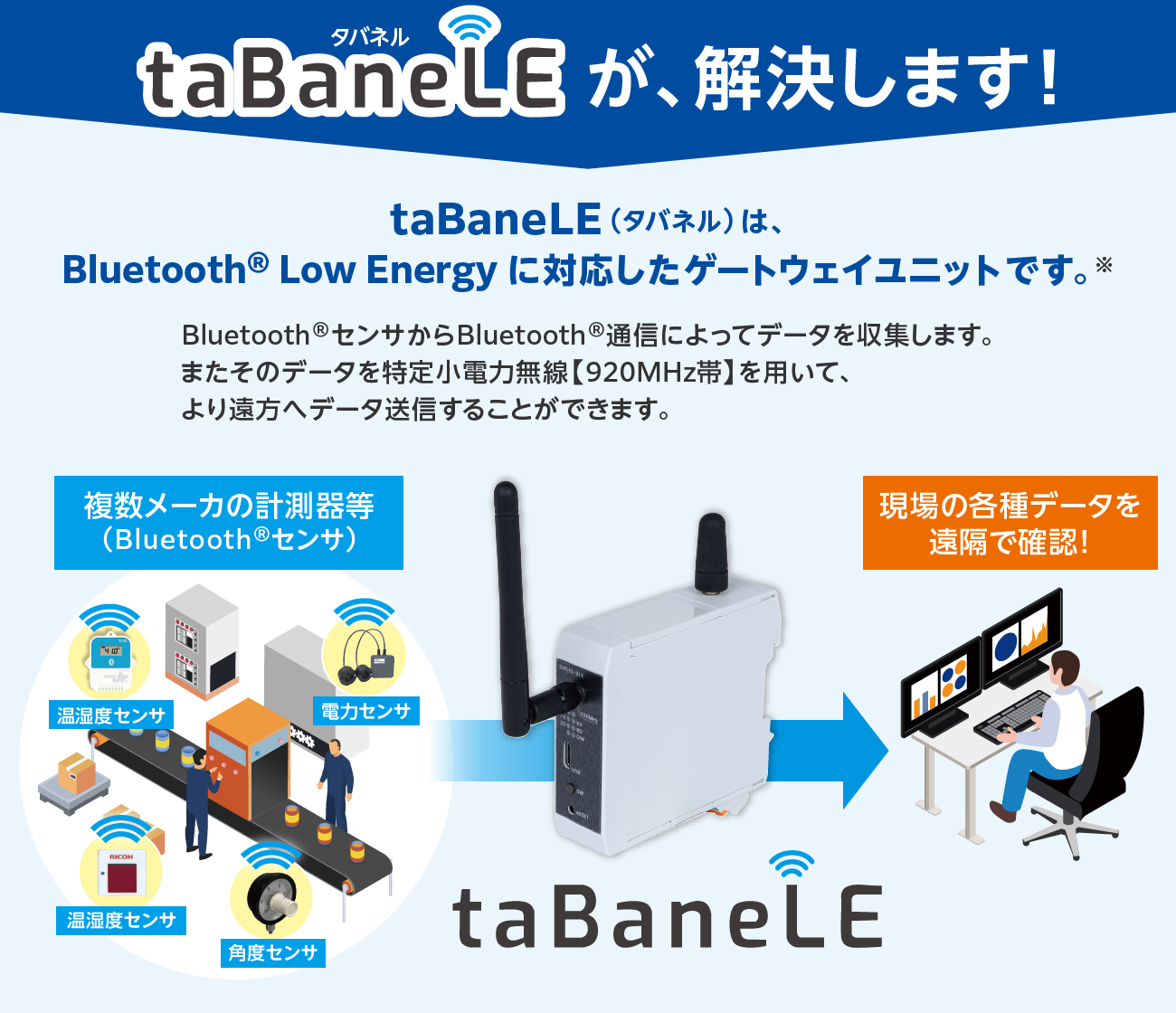 taBaneLE���A�������܂��I