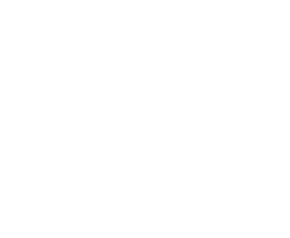 �l���ی�ɂ���