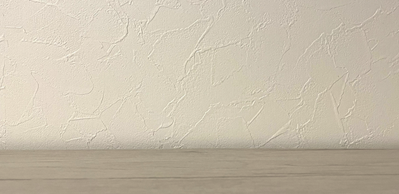 �J�X�^�}�[�n���X�����g�ɑ΂����{���j